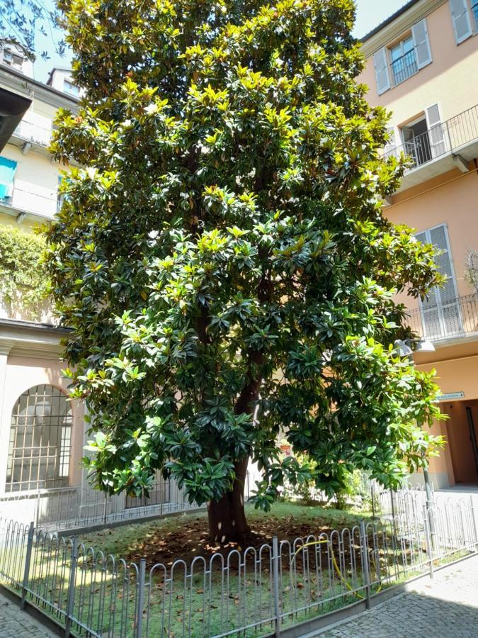 Central Garibaldi Loft, A Piedi A Palazzo Reale Турин Екстер'єр фото